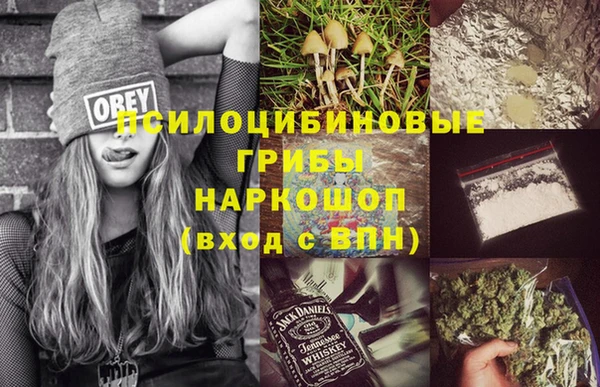 скорость Новозыбков