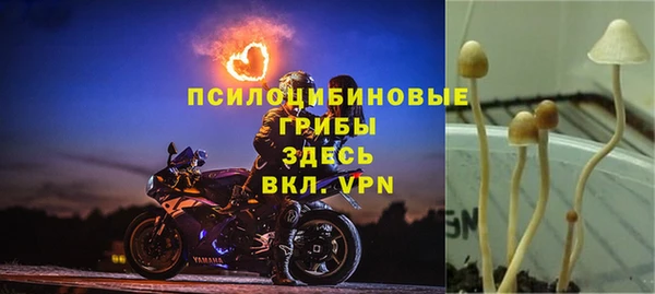каннабис Новокубанск