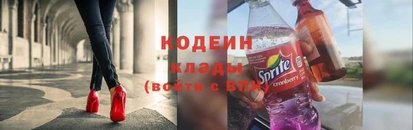 скорость Новозыбков