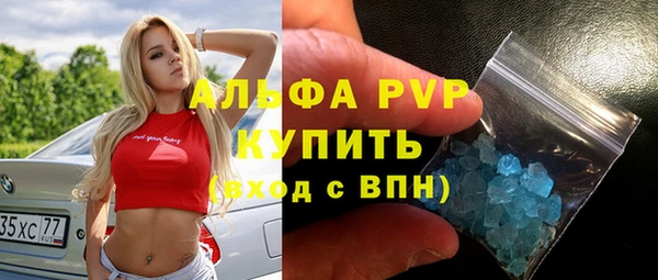 скорость Новозыбков