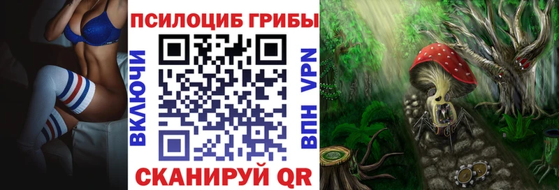 купить закладку Полярные Зори Псилоцибиновые грибы ЛСД